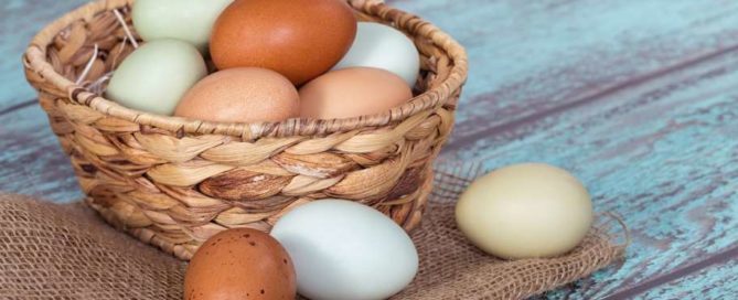 Assortment of different color, fresh chicken eggs in a basket