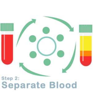 Separate Blood