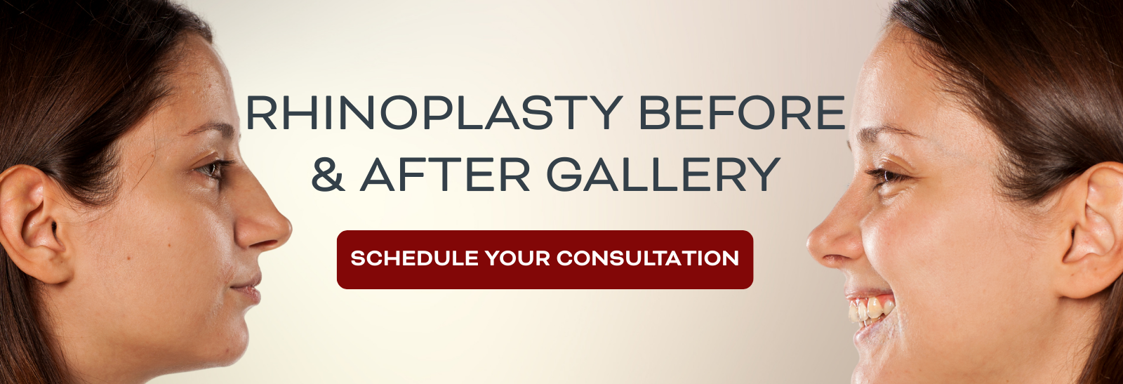 hubspot banner (3)